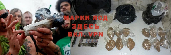 молекула духа Лихославль